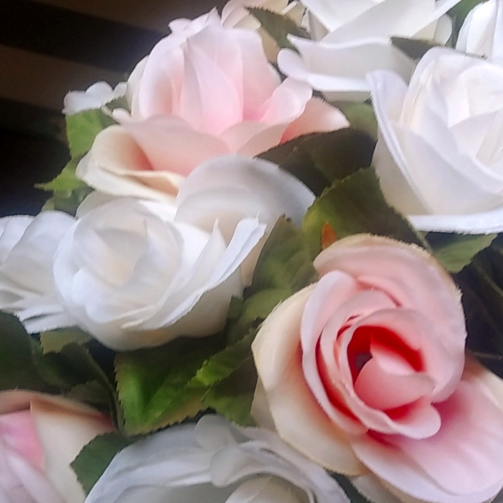 Meet your Posher, Sabina